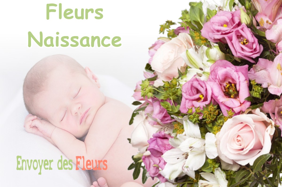 lIVRAISON FLEURS NAISSANCE à LA-SALETTE-FALLAVAUX